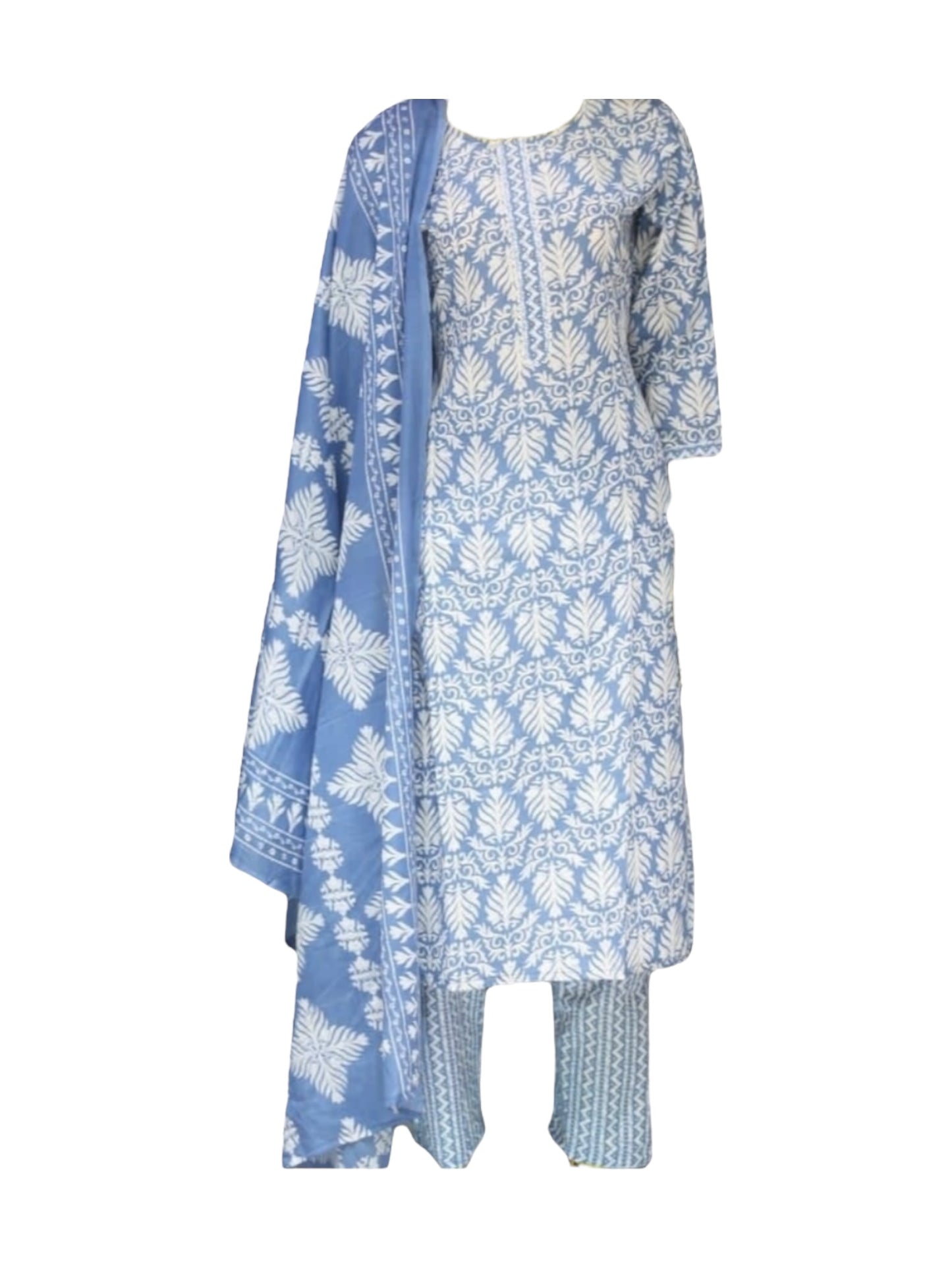 Traditional Digital Print Salwar Kameez, Cultural Wear for Women, Aug02 - Saree Ghor Charlotte