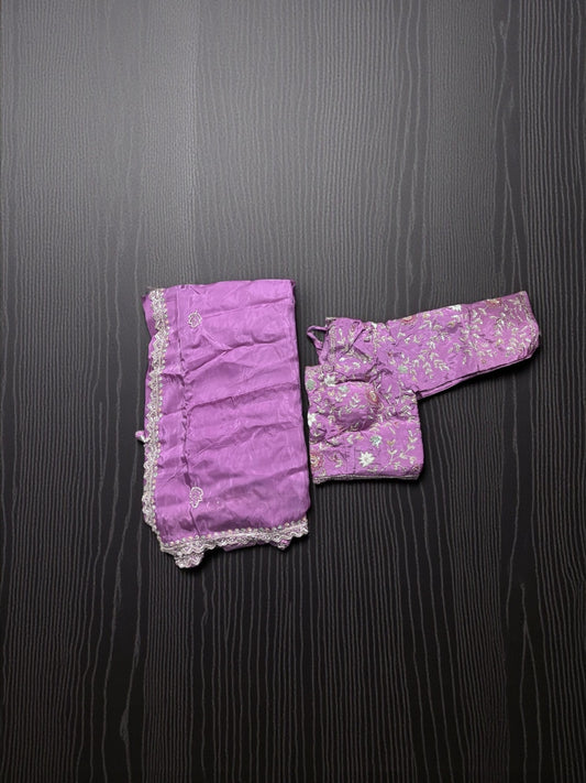 Designer Saree with Ready Blouse, Cultural Wear for Women, Aug14 - Saree Ghor Charlotte