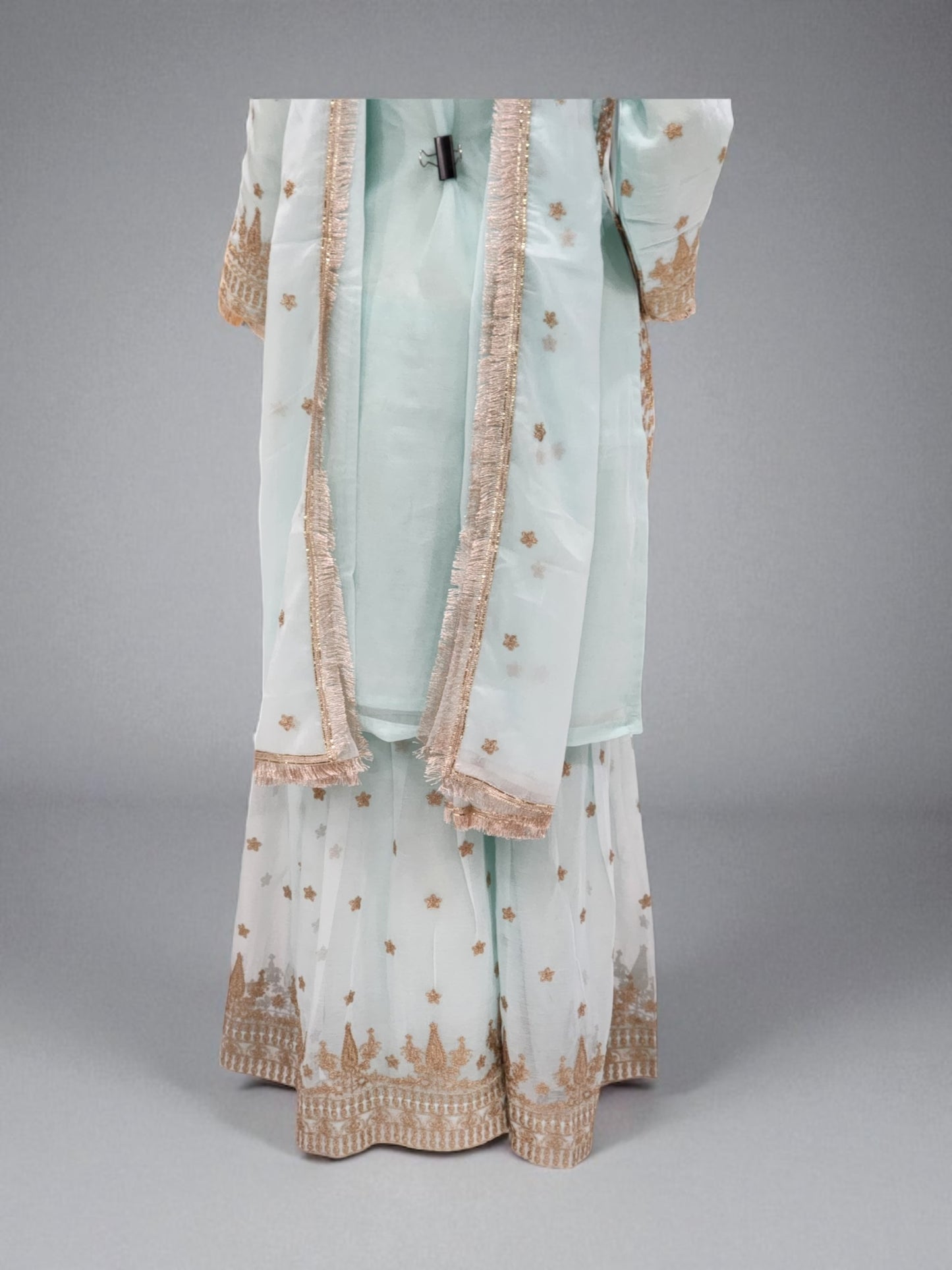 Traditional Salwar Kameez, Cultural Wear for Women, Aug05