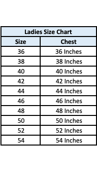 Traditional Ready Made Blouse for Saree – Ethnic Wear for Women - 10er67 - Saree Ghor Charlotte