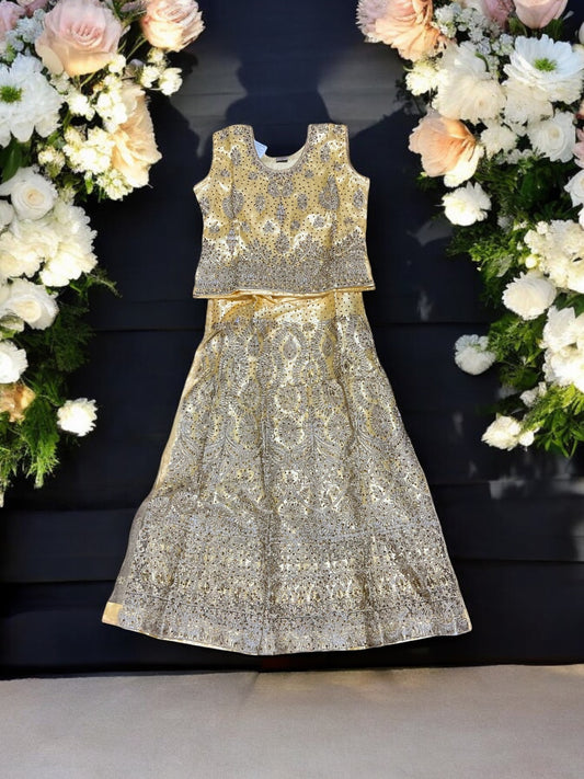 Traditional Girls Lehenga Choli Set, Cultural Wear for Kids,01 - Saree Ghor Charlotte