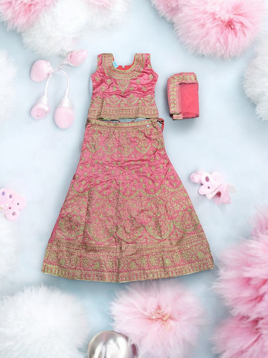 Traditional Girls Lehenga Choli Set, Cultural Wear for Kids,025 - Saree Ghor Charlotte