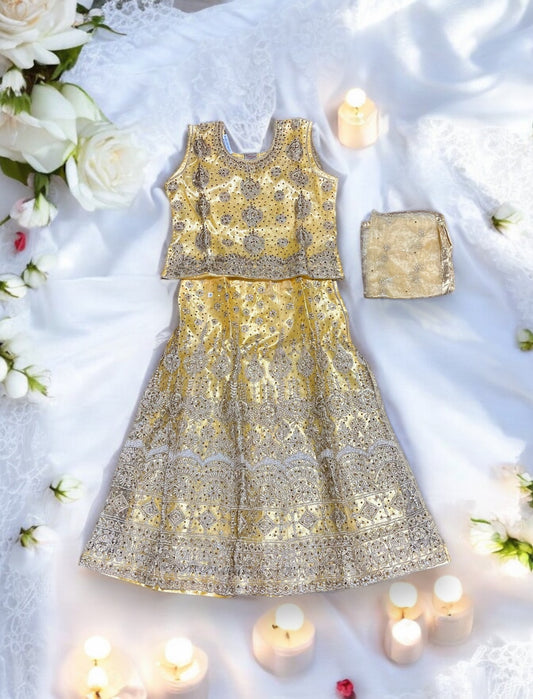 Traditional Girls Lehenga Choli Set, Cultural Wear for Kids,2 - Saree Ghor Charlotte