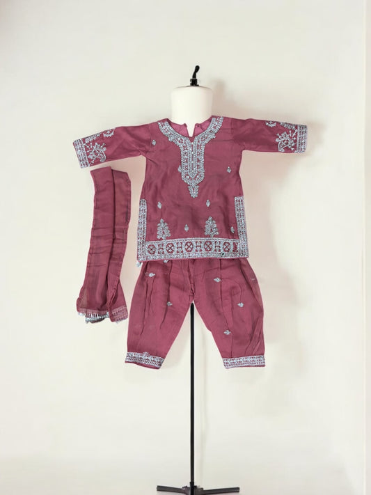 Traditional Designer Salwar Kameez for Little Girls, Elegant & Stylish Cultural Wear, 204 - Saree Ghor Charlotte