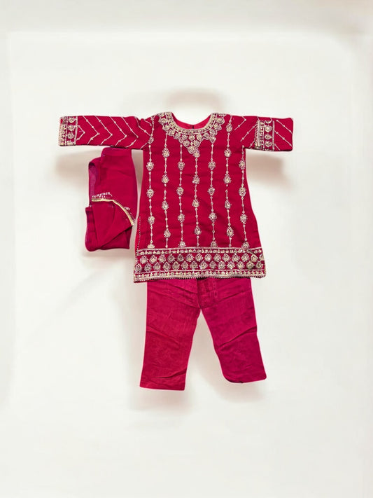 Traditional Designer Salwar Kameez for Little Girls, Elegant & Stylish Cultural Wear, 208 - Saree Ghor Charlotte