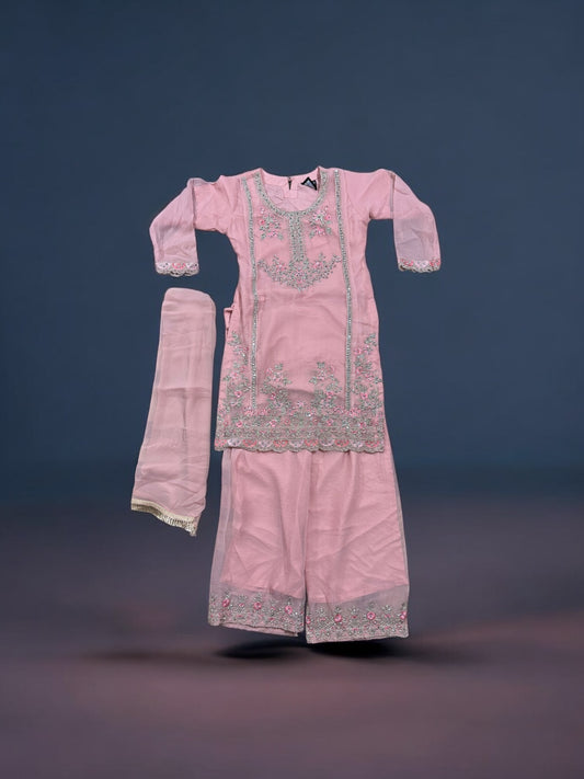 Traditional Designer Salwar Kameez for Little Girls, Elegant & Stylish Cultural Wear, 210 - Saree Ghor Charlotte