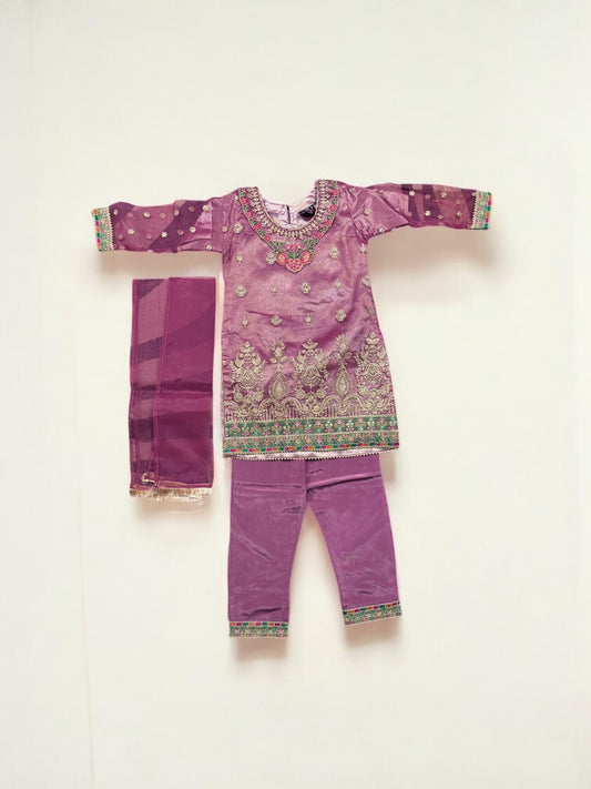 Traditional Designer Salwar Kameez for Little Girls, Elegant & Stylish Cultural Wear, 211 - Saree Ghor Charlotte