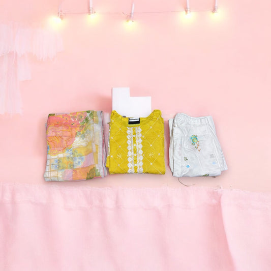 Clearance Sale: Traditional Salwar Kameez Set, Cultural Wear for Women, 2217 - Saree Ghor Charlotte