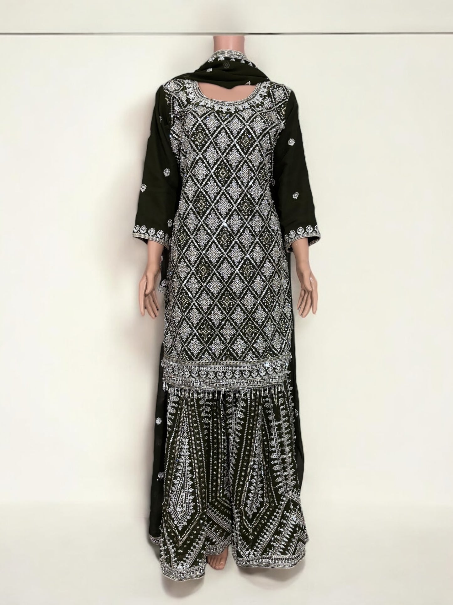 Olive Green- Traditional Designer Salwar Kameez Suit- Ethnic Wear for Women - 224 - Saree Ghor Charlotte