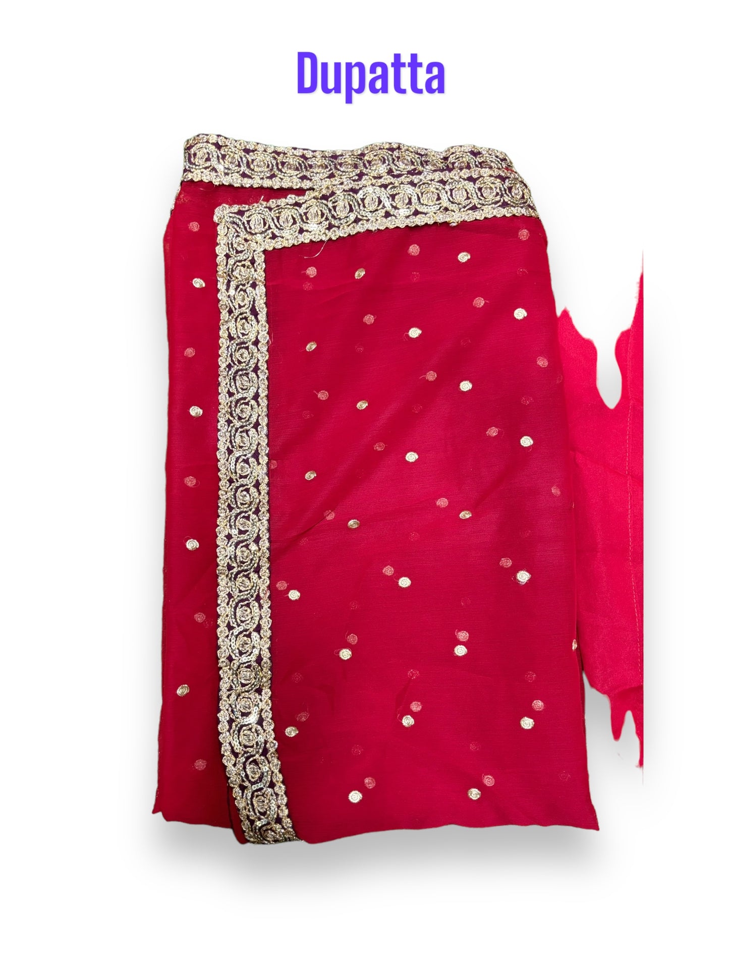Traditional Designer Maxi Gown-Ethnic Wear for Women - 204 - Saree Ghor Charlotte