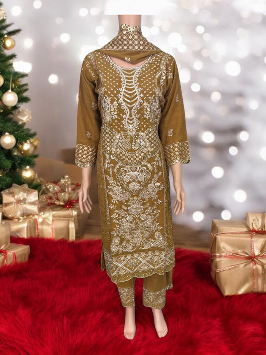 Traditional Designer Salwar Kameez Suit, Cultural Wear for Women, 215 - Saree Ghor Charlotte