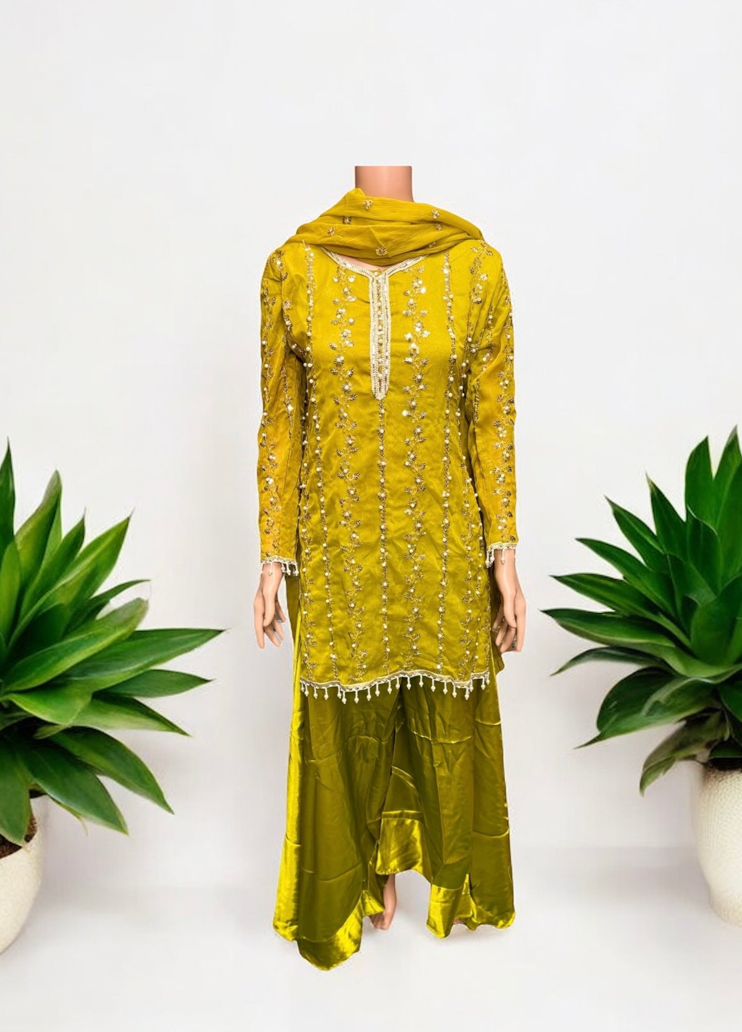 Traditional Great Value Designer Salwar Kameez-Ethnic Wear for Women - 203 - Saree Ghor Charlotte