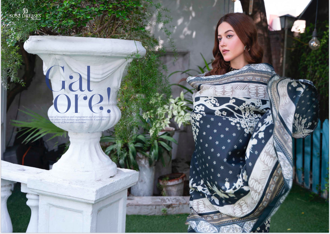 Traditional Pakistani Salwar Kameez – Ethnic Wear for Women-02 - Saree Ghor Charlotte