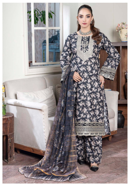 Traditional Pakistani Salwar Kameez, Cultural Wear for Women,255 - Saree Ghor Charlotte