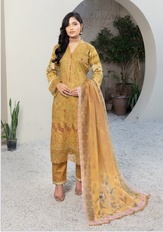 Traditional Pakistani Salwar Kameez, Cultural Wear for Women,260 - Saree Ghor Charlotte