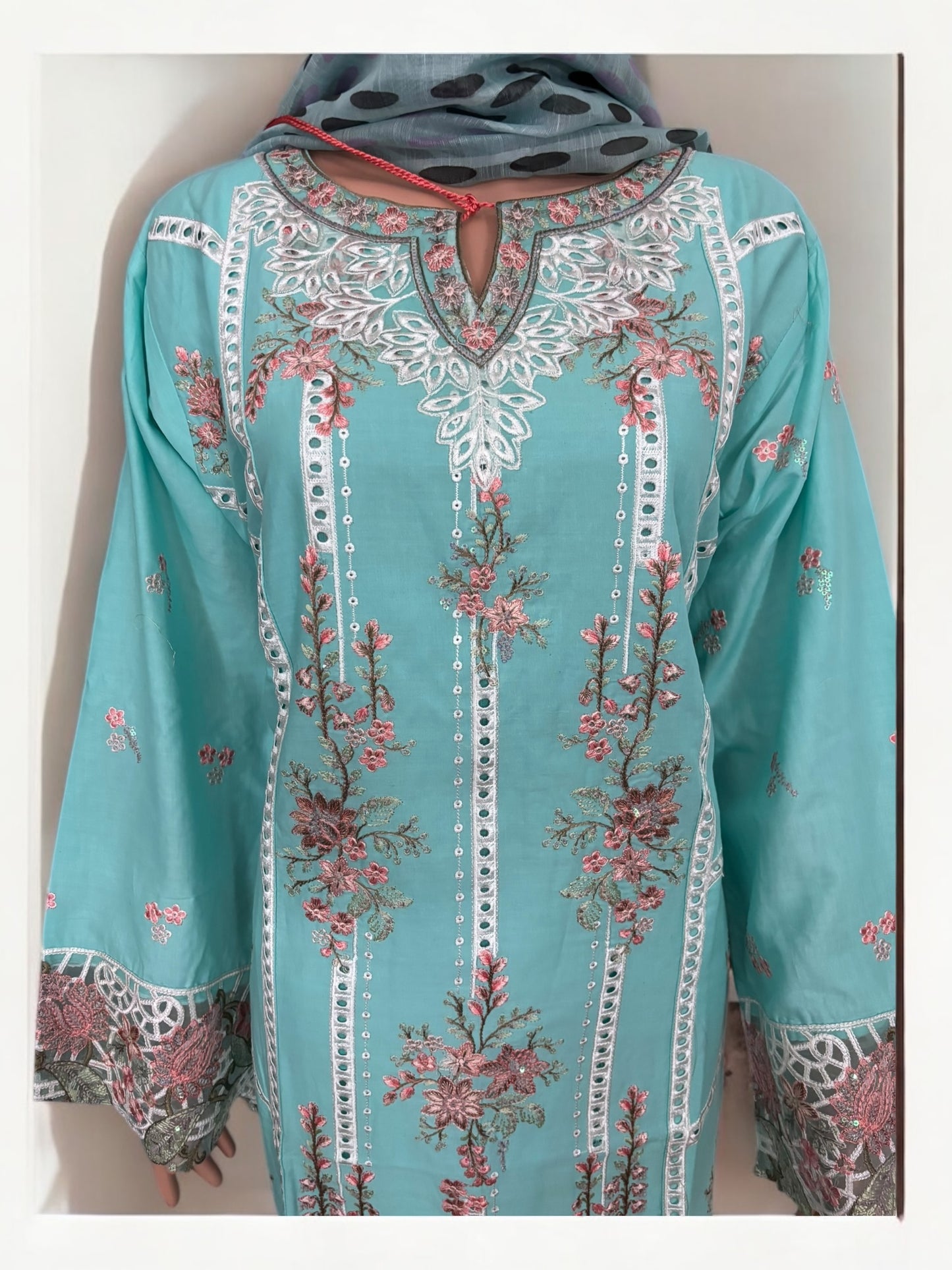 Traditional Pakistani Salwar Kameez – Ethnic Wear for Women-269 - Saree Ghor Charlotte