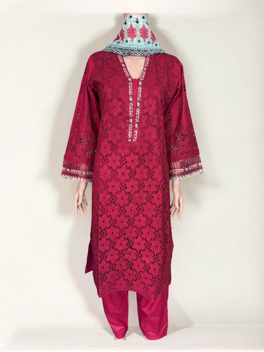 Traditional Pakistani Salwar Kameez, Cultural Wear for Women,287 - Saree Ghor Charlotte