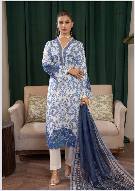 Pakistani Salwar Kameez Set, Cultural Wear for Women, Ju10 - Saree Ghor Charlotte