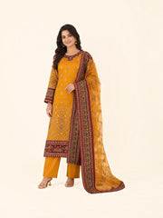 Traditional Designer Salwar Kameez Suit,Cultural Wear for Women,1550,D