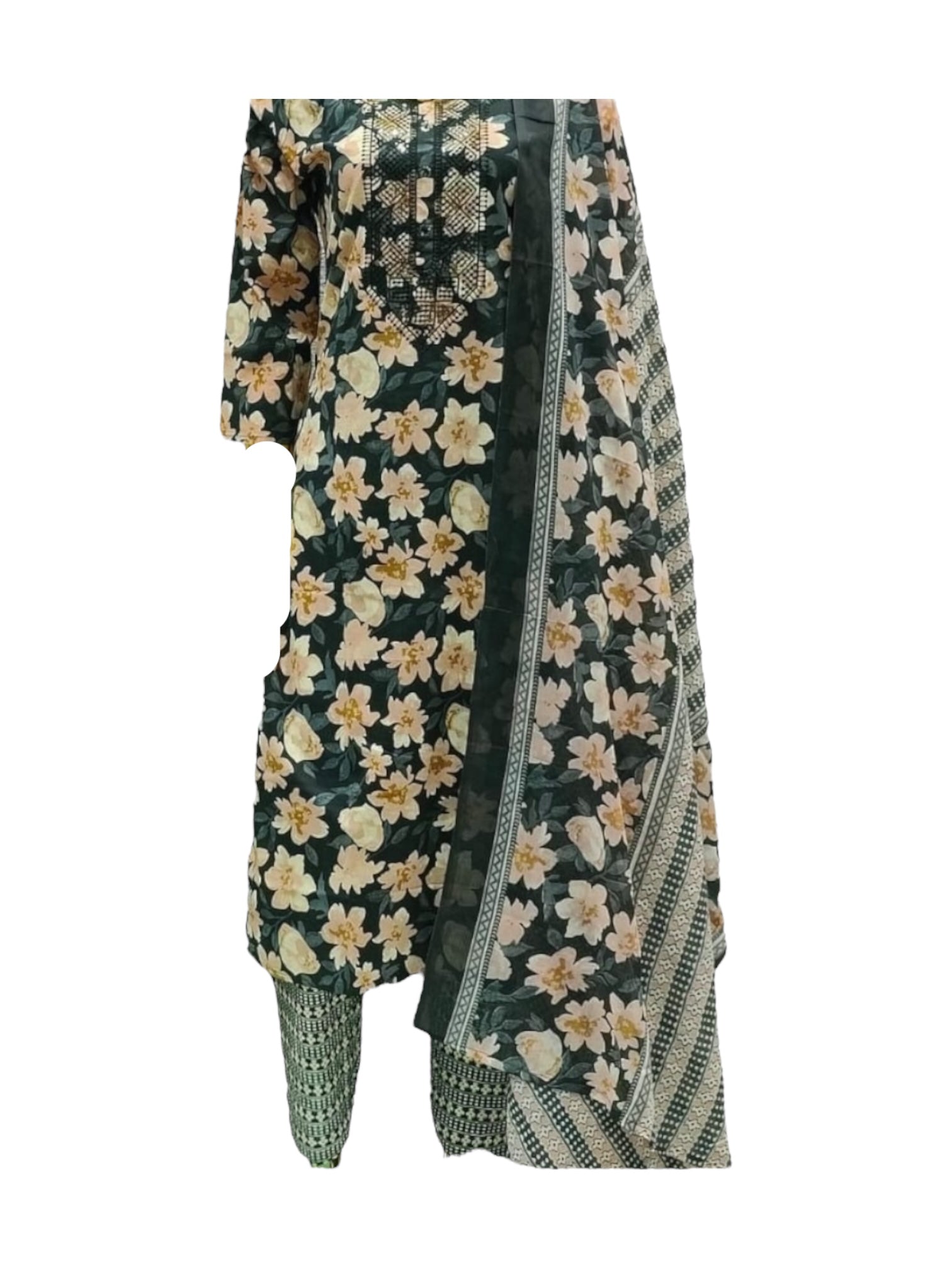 Traditional Salwar Kameez, Cultural Wear for Women, Aug04 - Saree Ghor Charlotte