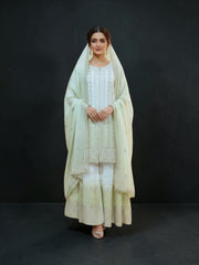Star Georgette Russian Plazo Dress by Saree Ghor Charlotte, cultural women's salwar kameez with elegant star-patterned georgette fabric.