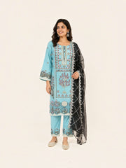 Traditional Pakistani Salwar Kameez, Cultural Wear for Women,283