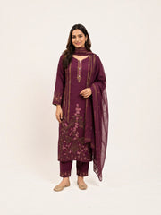 Traditional Salwar Kameez Set, Cultural Wear for Women, S05