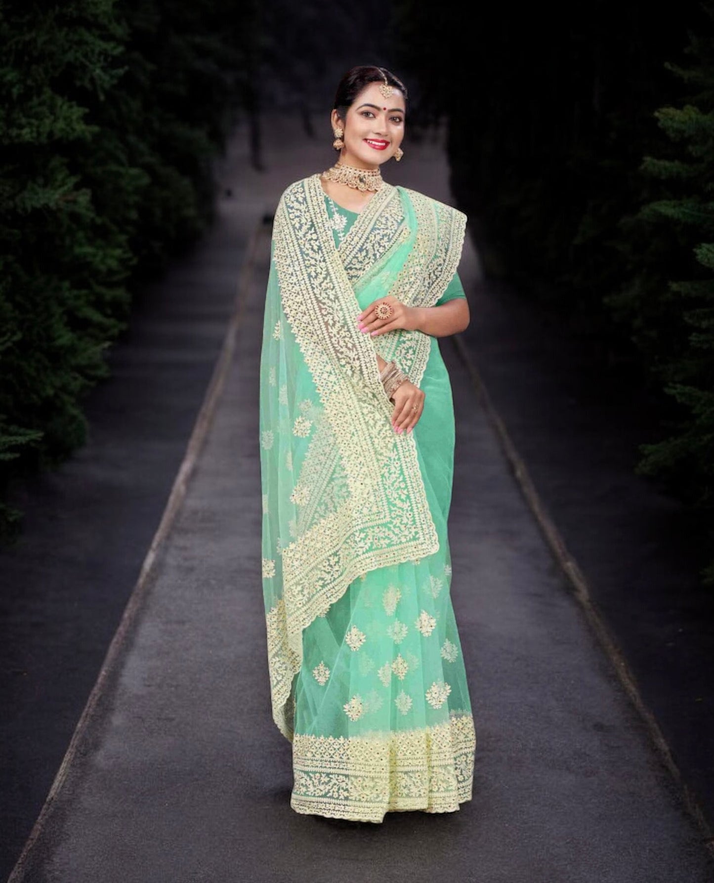 Enchanting Evening: Party Wear Net Saree with Intricate Embellishments