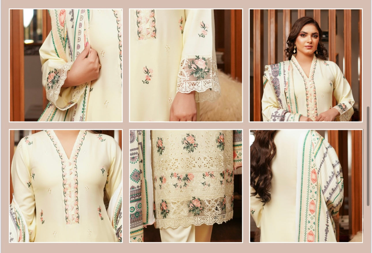 Traditional Pakistani Salwar Kameez for women, featuring vibrant embroidery and elegant fabric, by Saree Ghor Charlotte.