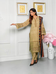 Traditional Pakistani Salwar Kameez, Cultural Wear for Women,03