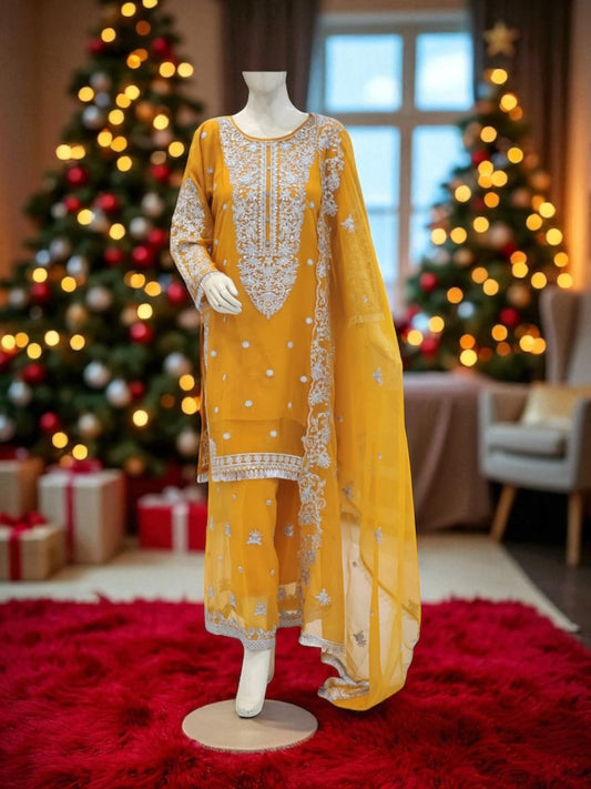 Traditional Salwar Kameez, Cultural Wear for Women, Aug12