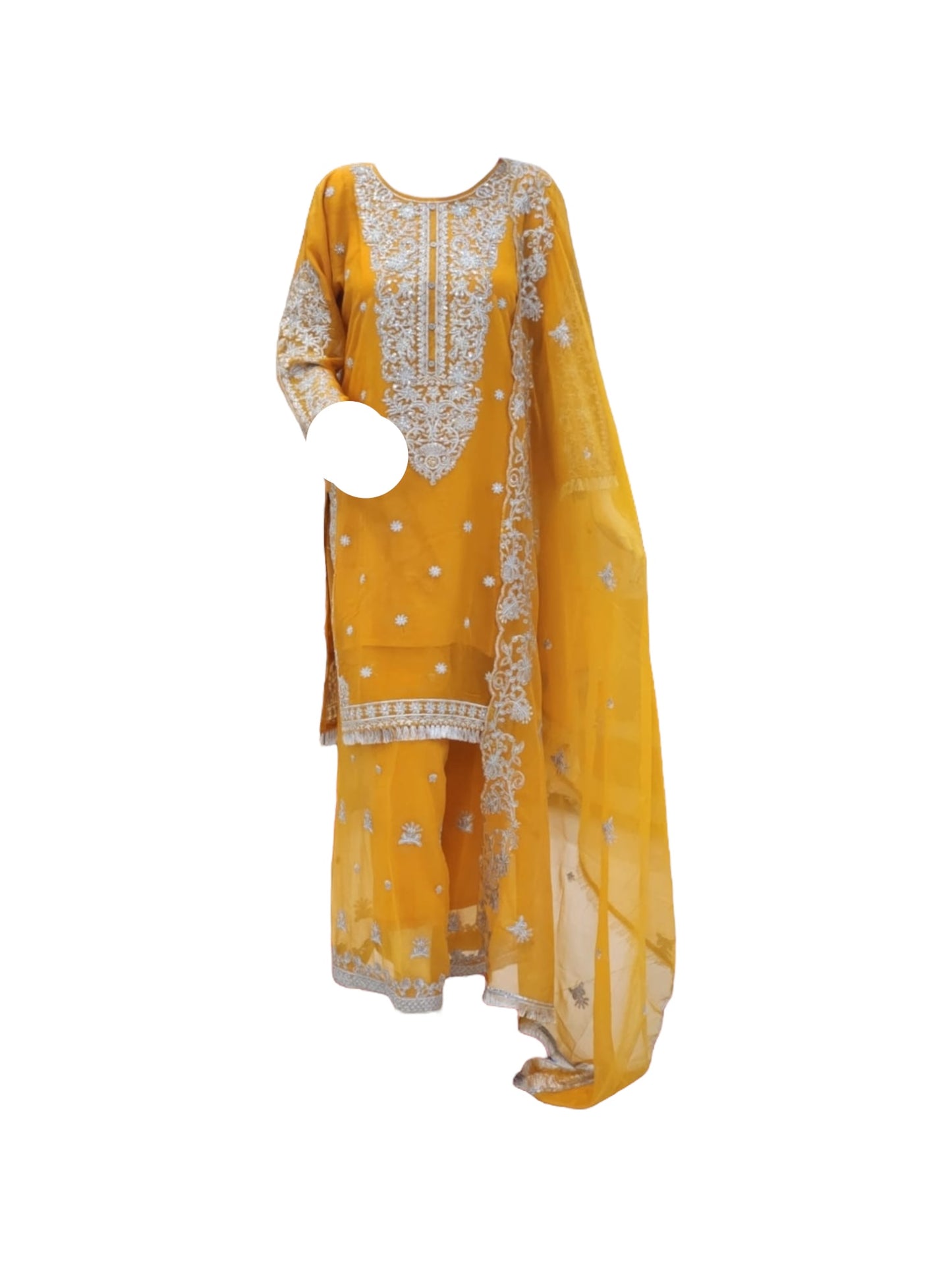 Traditional Salwar Kameez, Cultural Wear for Women, Aug12