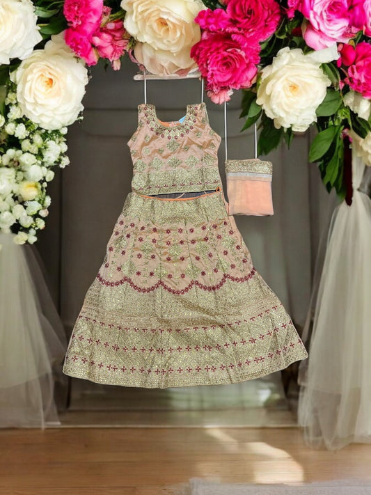 Traditional Girls Lehenga Choli Set – Ethnic Wear for Kids-018 - Saree Ghor Charlotte