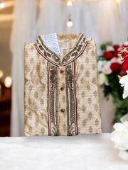 Traditional men's cotton party wear kurta by Saree Ghor Charlotte with intricate embroidery and classic design.