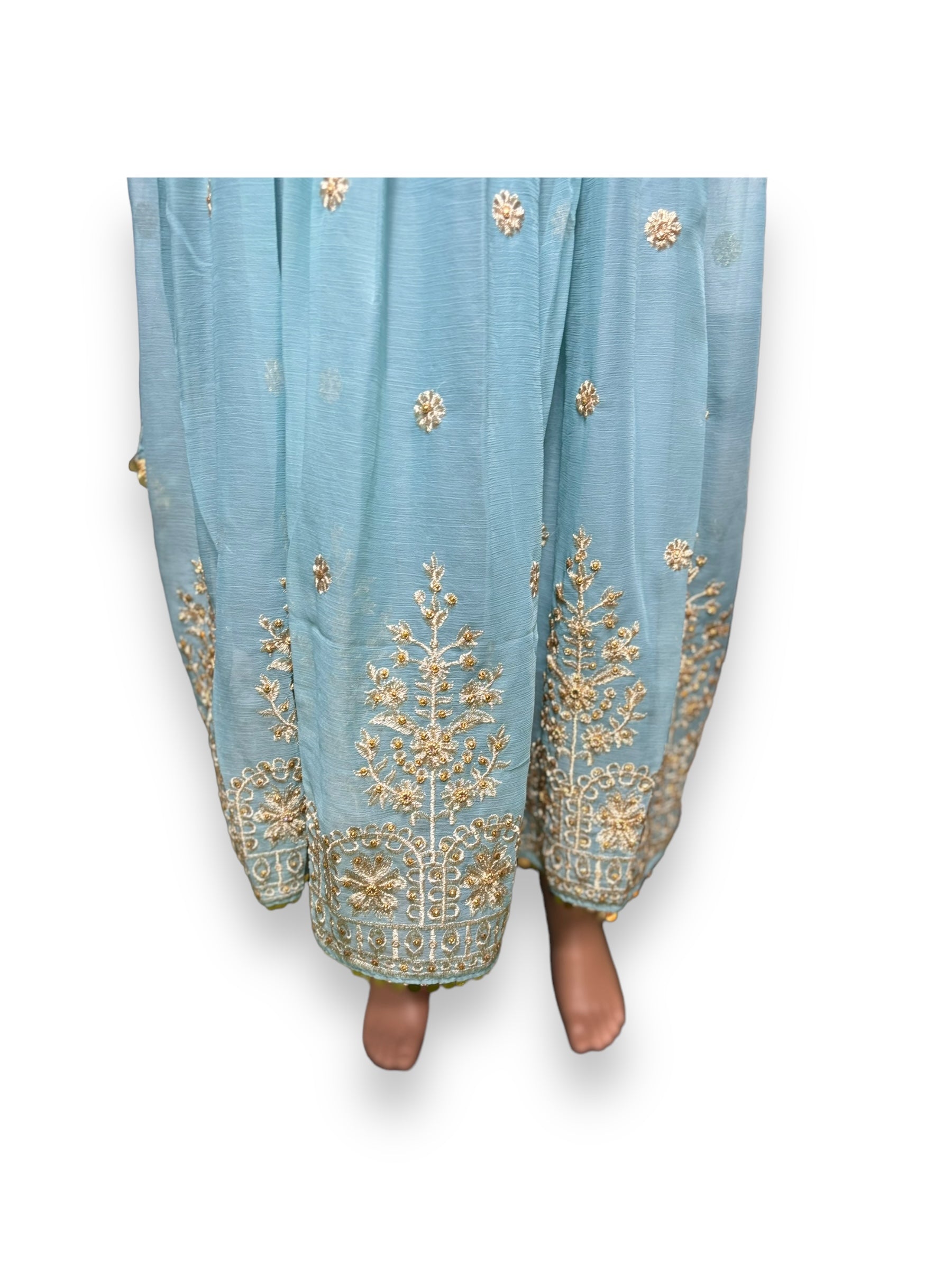Elegant Saree Ghor Charlotte designer party wear salwar kameez for women, showcasing vibrant ethnic wear with intricate detailing.