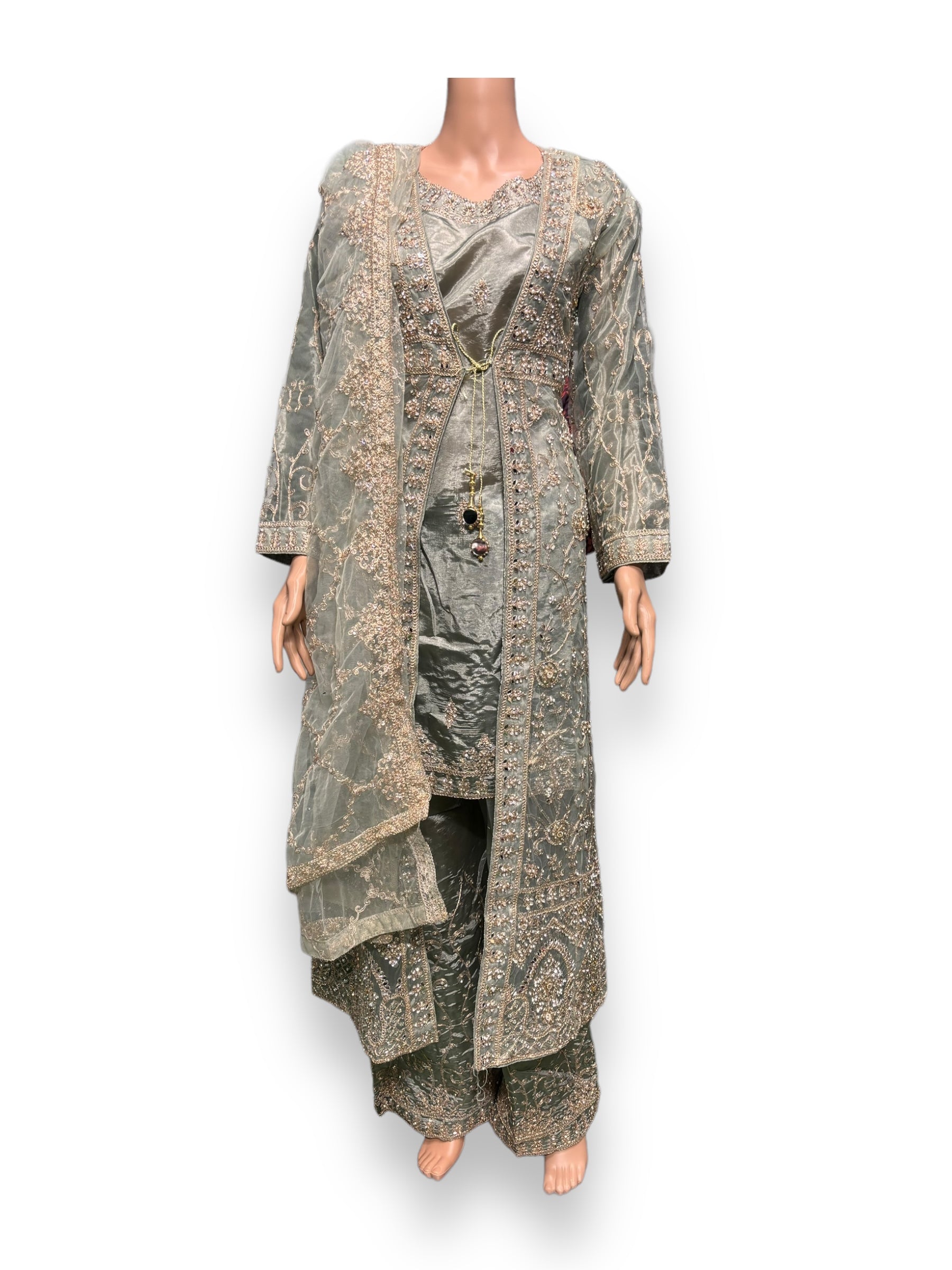 Designer Saree Ghor Charlotte party wear Salwar Kameez set for women, featuring intricate ethnic embroidery and vibrant fabric.