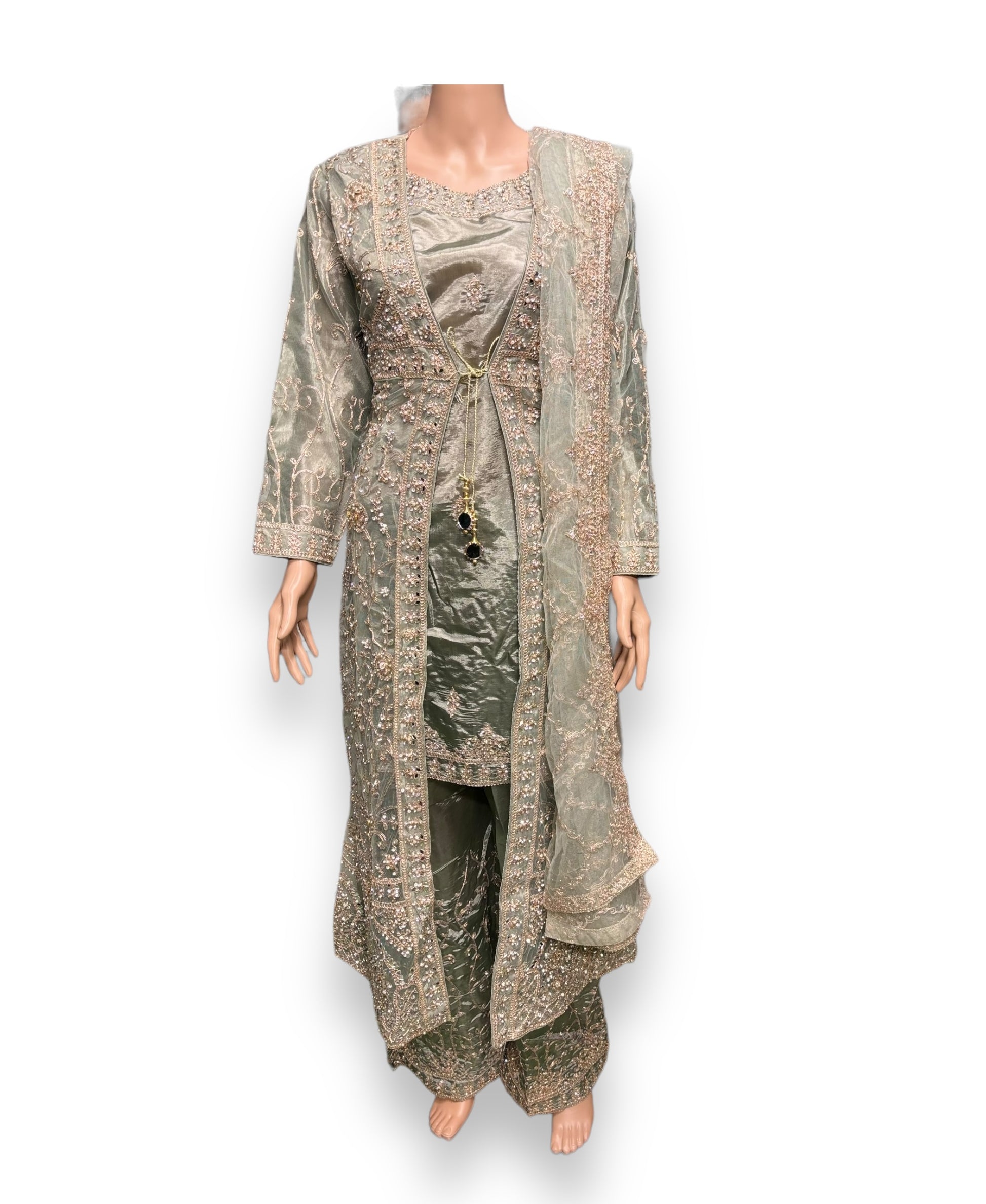 Designer Saree Ghor Charlotte party wear Salwar Kameez set for women, featuring traditional embroidery and vibrant fabric.