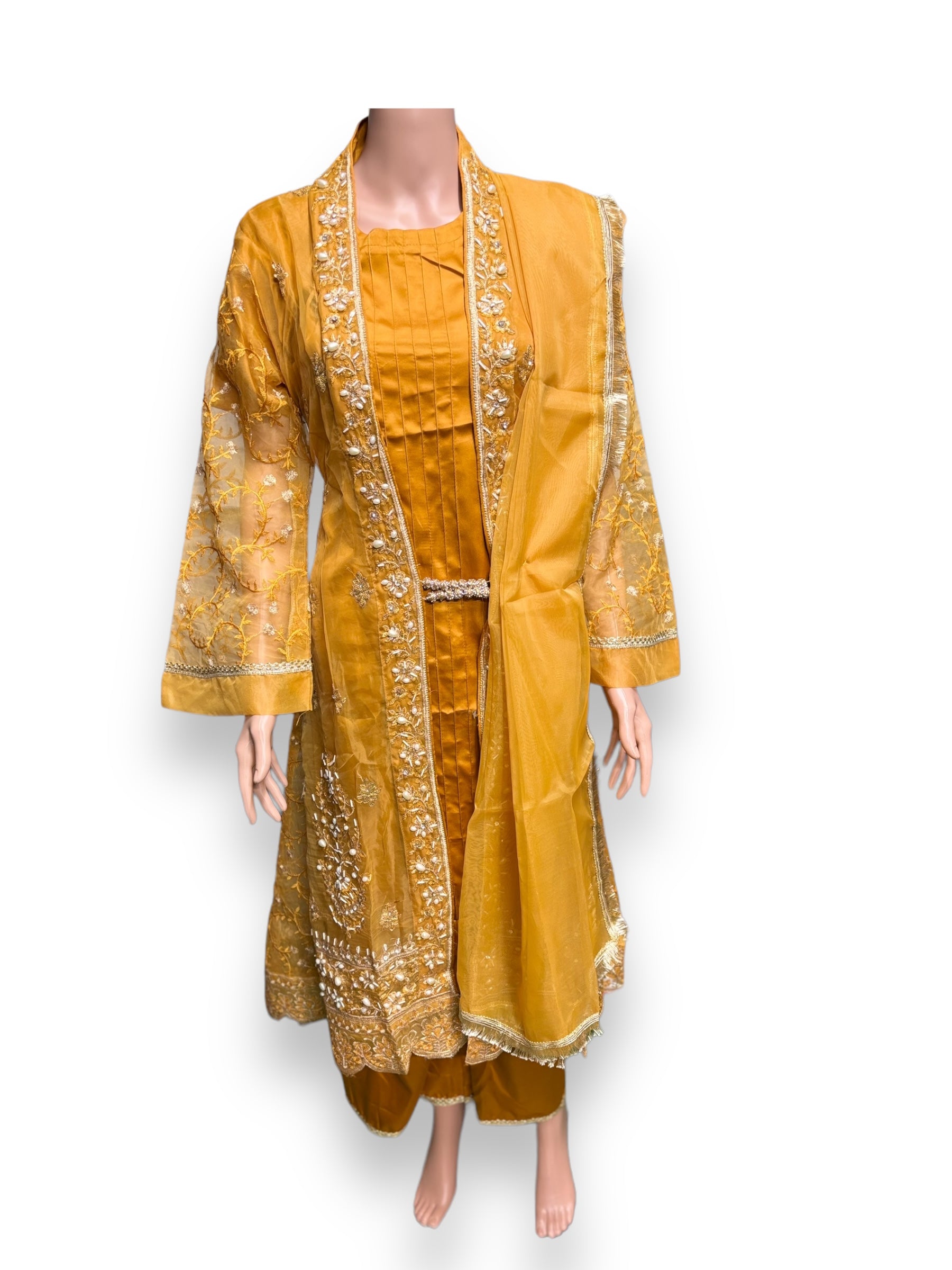 Elegant designer party wear Salwar Kameez set by Saree Ghor Charlotte, featuring vibrant ethnic fabric and intricate detailing for women