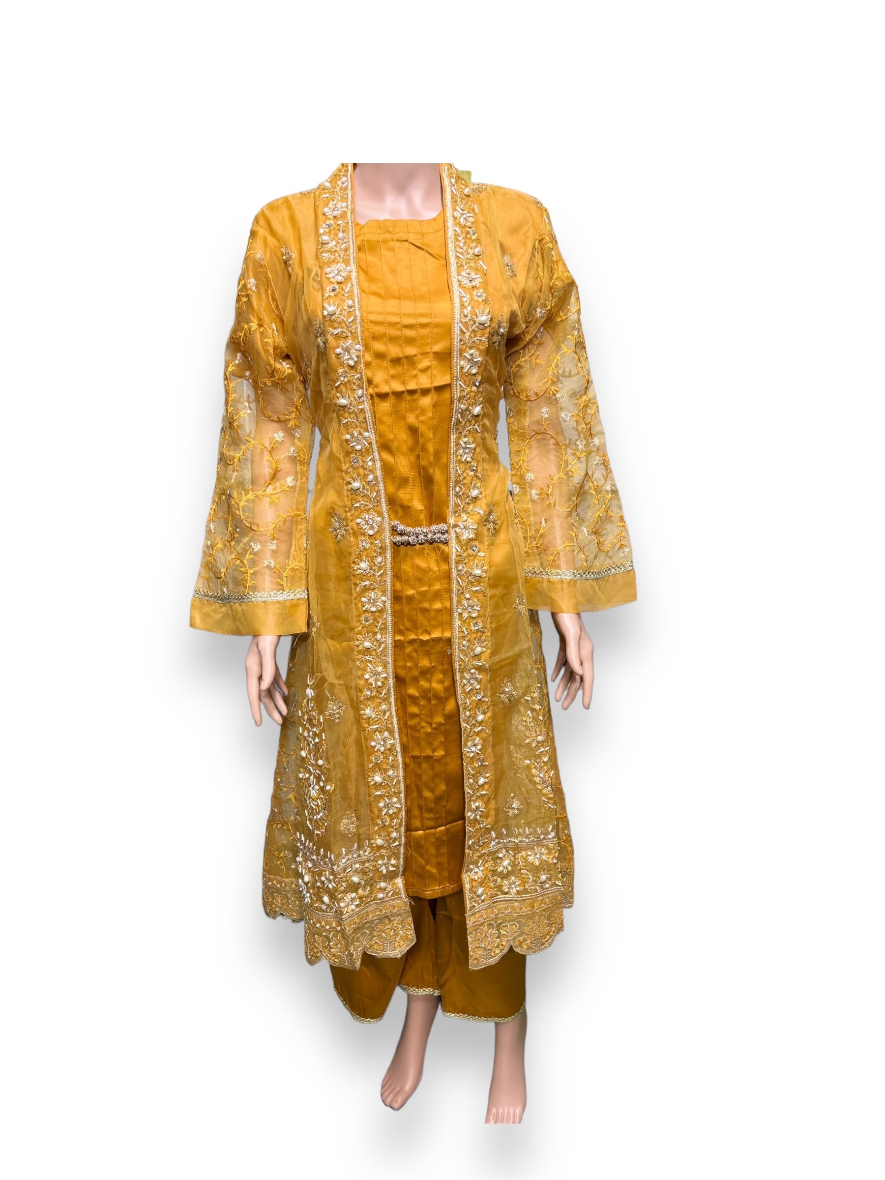 Designer Saree Ghor Charlotte party wear Salwar Kameez set for women, featuring intricate ethnic embroidery and vibrant fabric.