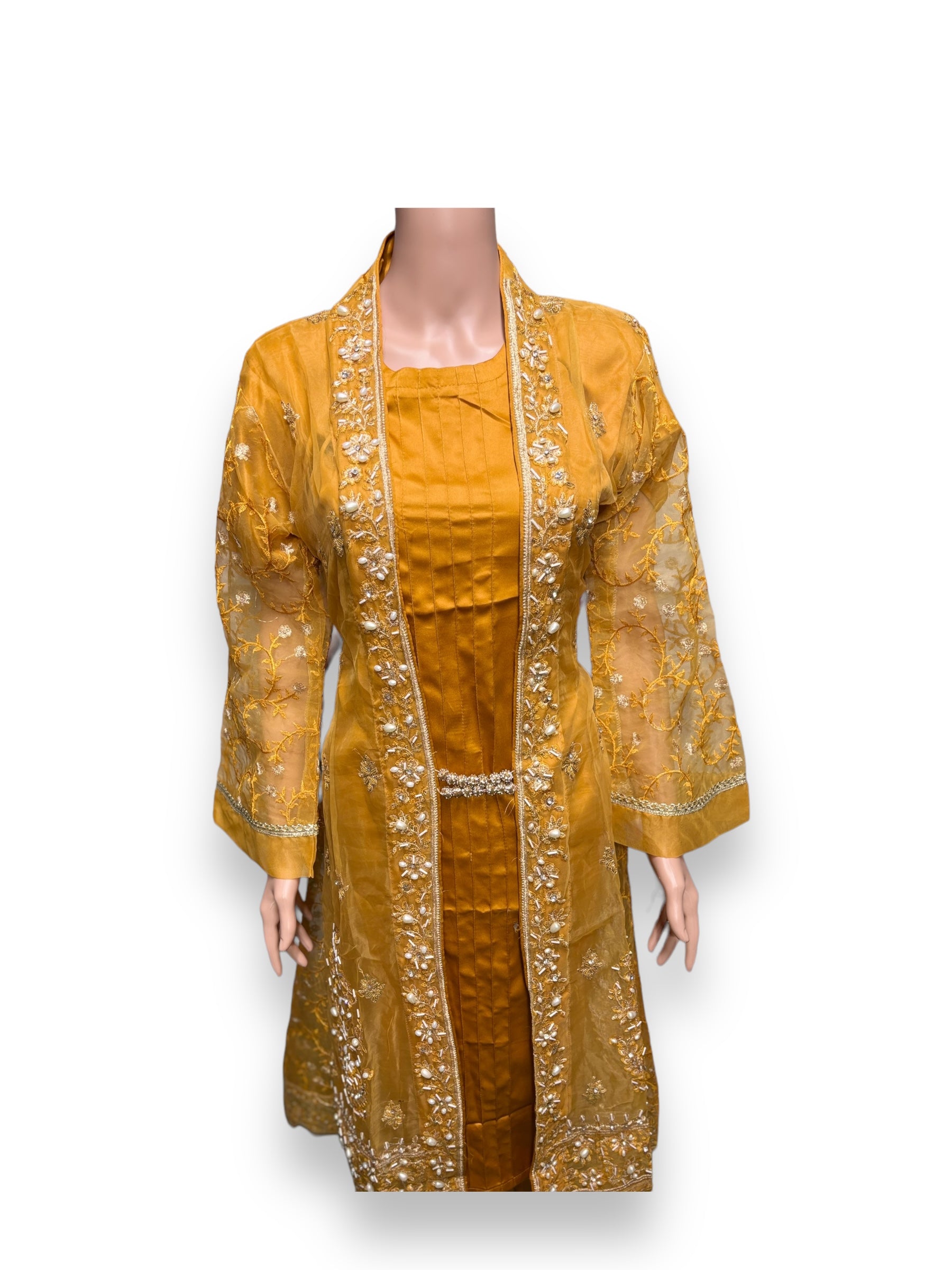Designer Saree Ghor Charlotte party wear salwar kameez set for women, featuring traditional ethnic attire with intricate detailing.
