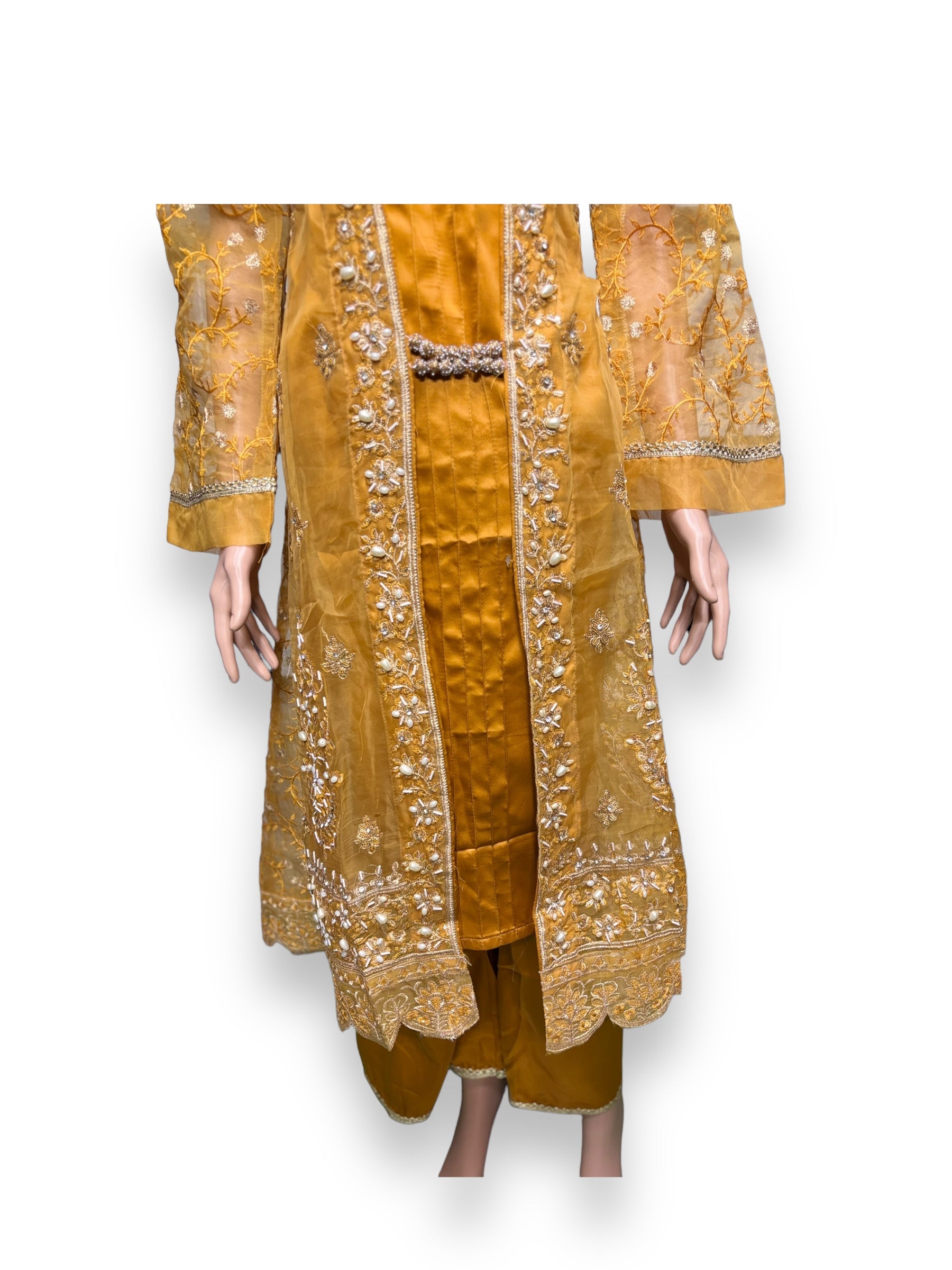 Designer Saree Ghor Charlotte party wear Salwar Kameez set for women, with intricate embroidery and elegant ethnic design.