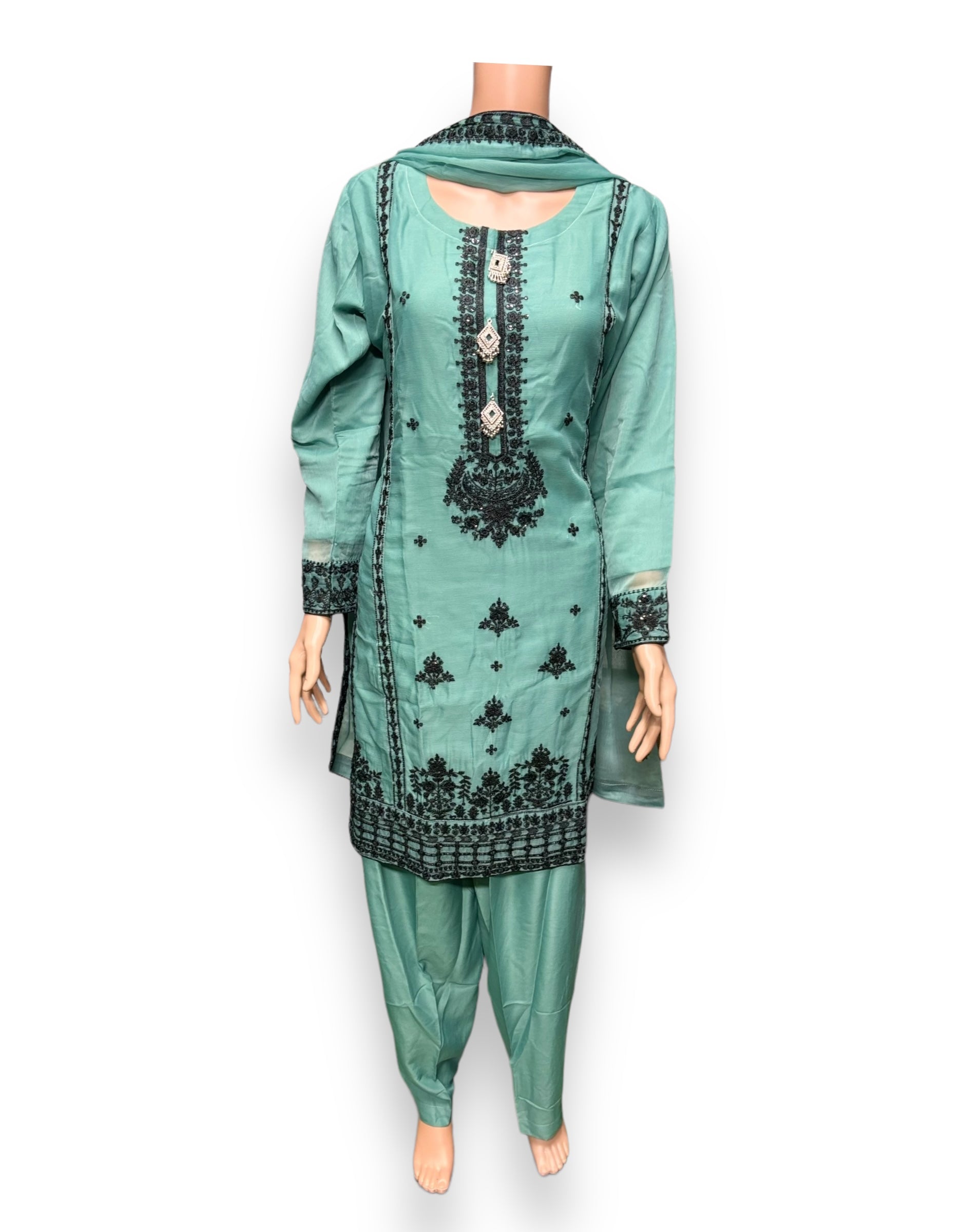 Designer Party Wear Salwar Kameez set by Saree Ghor Charlotte, elegant ethnic dress for women with intricate detailing.