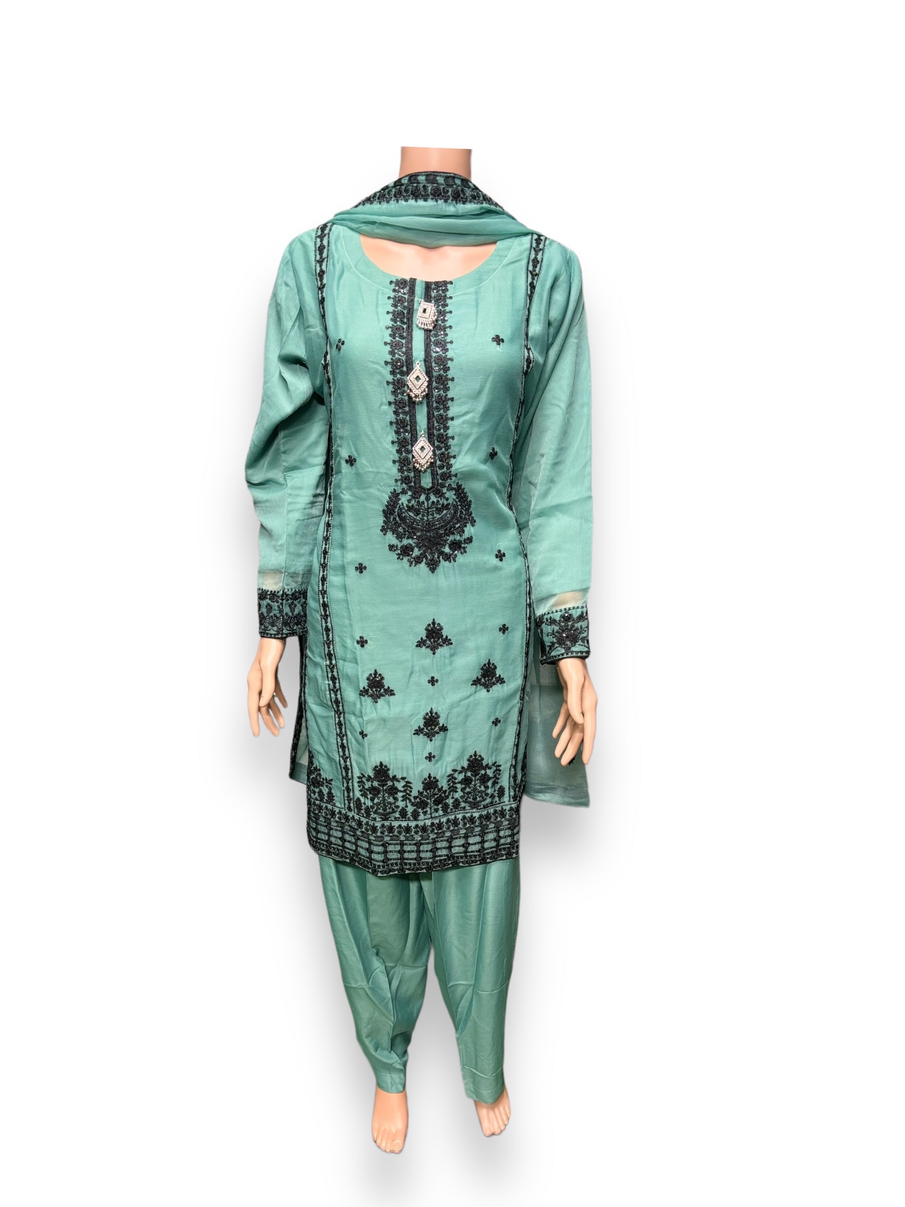 Elegant designer party wear Salwar Kameez set by Saree Ghor Charlotte, featuring intricate ethnic embroidery and stylish fabric.