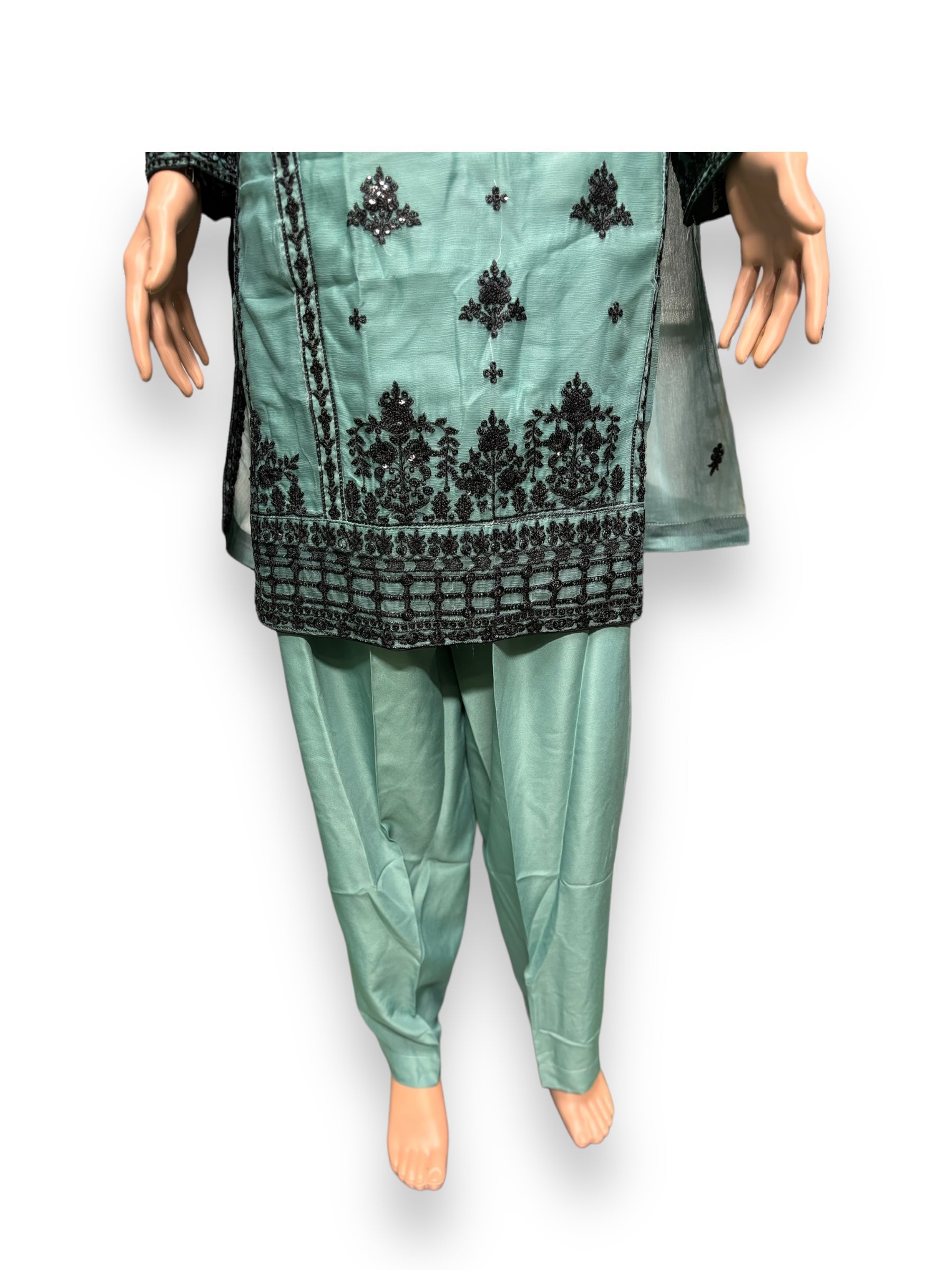 Designer Party Wear Salwar Kameez Set by Saree Ghor Charlotte, elegant ethnic women’s attire with intricate embroidery and vibrant colors.