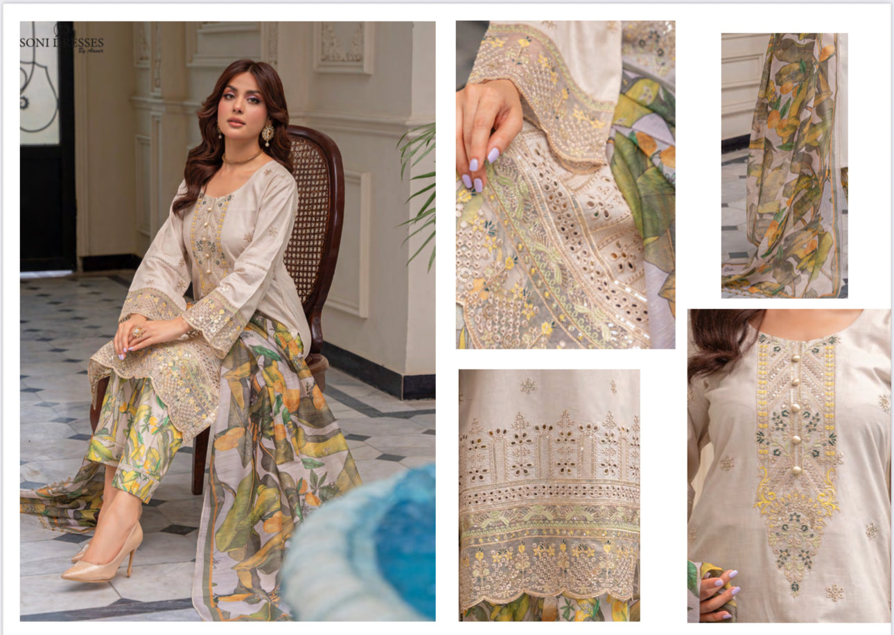 Pakistani Salwar Kameez suit by Saree Ghor Charlotte, traditional ethnic wear for women with vibrant fabric and detailed embroidery.
