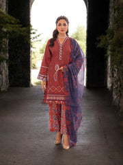 Pakistani Salwar Kameez suit by Saree Ghor Charlotte, traditional ethnic wear for women featuring vibrant fabric and intricate design.