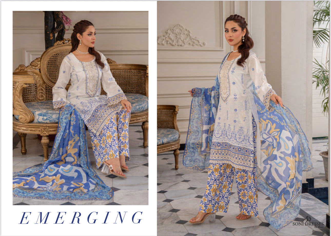 Pakistani Salwar Kameez suit by Saree Ghor Charlotte, traditional ethnic wear for women with intricate designs and vibrant colors.