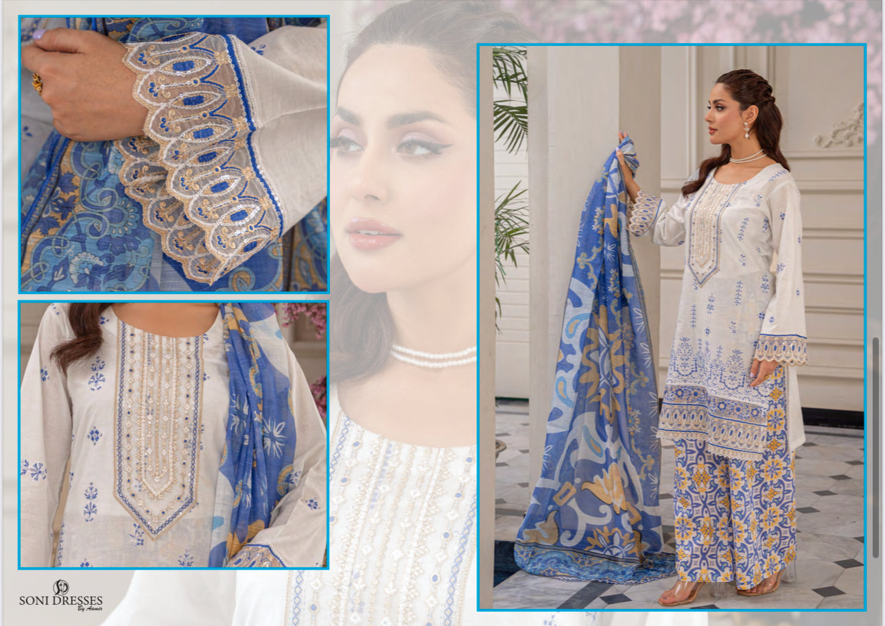 Pakistani Salwar Kameez suit by Saree Ghor Charlotte, traditional ethnic wear for women, with intricate design and vibrant colors.