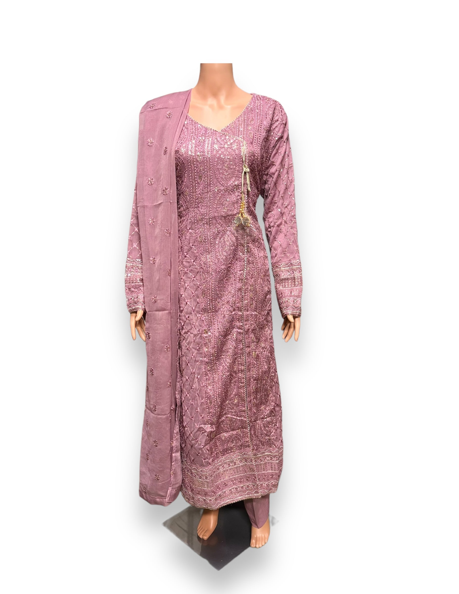 Traditional Saree Ghor Charlotte designer party wear Salwar Kameez set for women, featuring ethnic embroidery and vibrant colors.