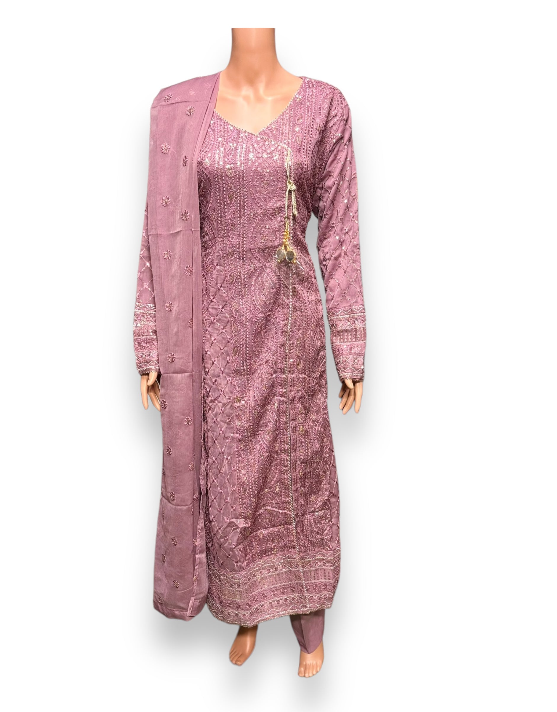Traditional Saree Ghor Charlotte party wear Salwar Kameez set for women, featuring intricate ethnic embroidery and vibrant colors.